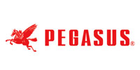 PEGASUS