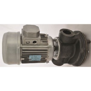  AUES 200 Hp. 2 -  50Hz Pompe à eau