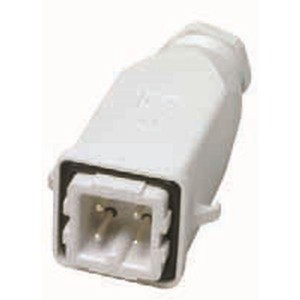  10:00 AM Prise de fer