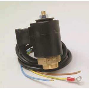  PONY vieux modele Pointeau / Noyau d'électrovanne vapeur