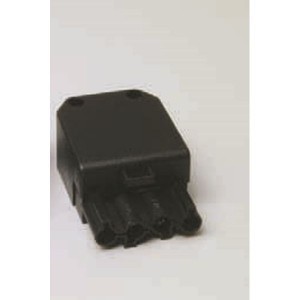  FEMELLE WIELAND ST 18/4 15 A. Prise de fer