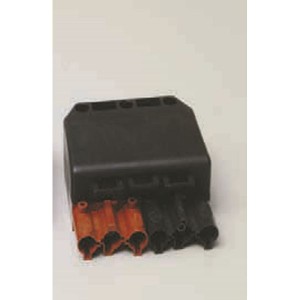  FEMELLE WIELAND ST 18/6 15 A. Prise de fer