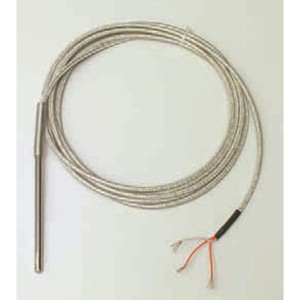  L=3000mm 600°C Sonde