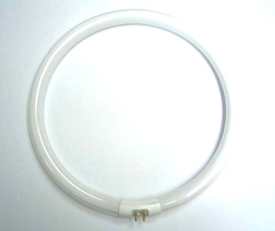 DAYLIGHT TUBE CIRC. FLUO DL 28W(D12000) Ampoules 8734