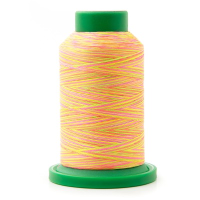 Cône de 1000m multi ISACORD n° 40