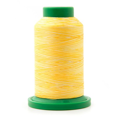 Cône de 1000m multi ISACORD n° 40